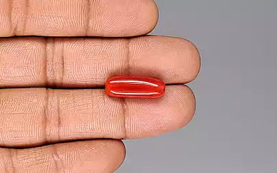 Red Coral (Moonga) - 7.77 Carats