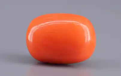 Red Coral (Moonga) - 11.19 Carats
