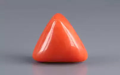 Red Coral (Moonga) - 16.91 Carats