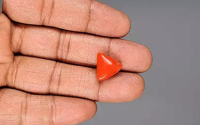 Red Coral (Moonga) - 9.28 Carats