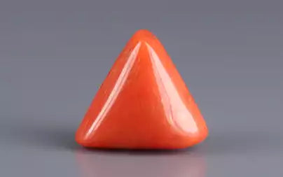 Red Coral (Moonga) - 7.42 Carats