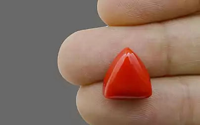 Red Coral (Moonga) - 7.88 Carats