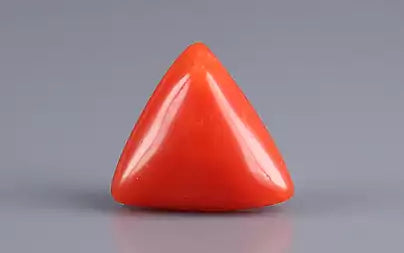 Red Coral (Moonga) - 3.47 Carats