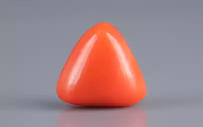 Red Coral (Moonga) - 3.33 Carats