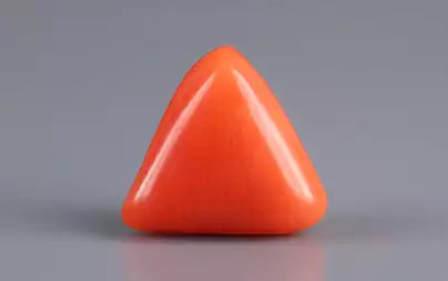 Red Coral (Moonga) - 3.32 Carats