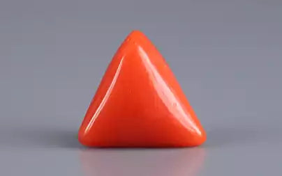 Red Coral (Moonga) - 3.24 Carats