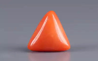Red Coral (Moonga) - 3.40 Carats