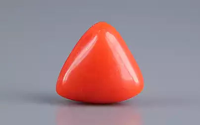 Red Coral (Moonga) - 2.67 Carats