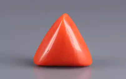 Red Coral (Moonga) - 13.00 Carats