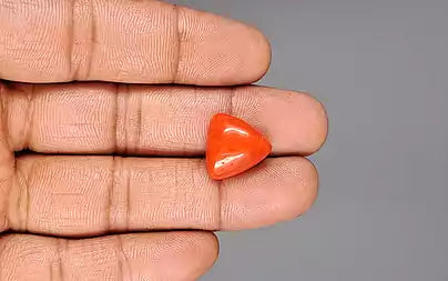 Red Coral - 12.16 Carats (Moonga - 13.25 Ratti)