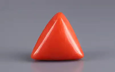 Red Coral (Moonga) - 8.12 Carats