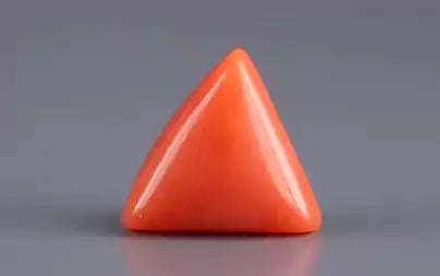 Red Coral (Moonga) - 3.03 Carats