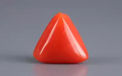 Red Coral (Moonga) - 3.10 Carats