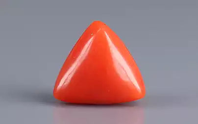 Red Coral (Moonga) - 2.90 Carats