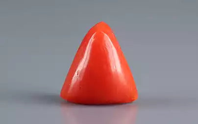 Red Coral (Moonga) - 2.93 Carats