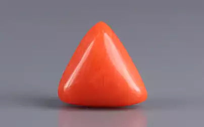 Red Coral (Moonga) - 2.74 Carats