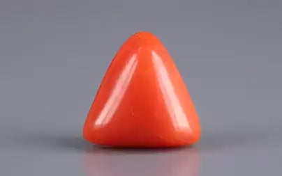 Red Coral (Moonga) - 2.70 Carats