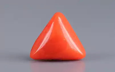 Red Coral (Moonga) - 2.94 Carats