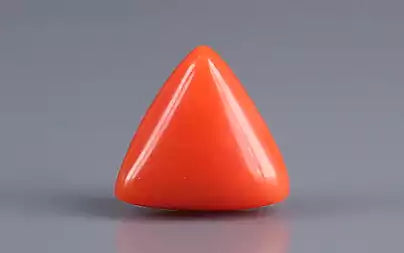 Red Coral - 3.06 Carats (Moonga - 3.34 Ratti)