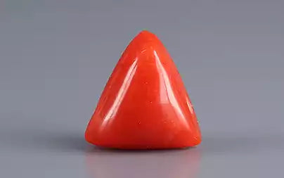 Red Coral (Moonga) - 3.01 Carats