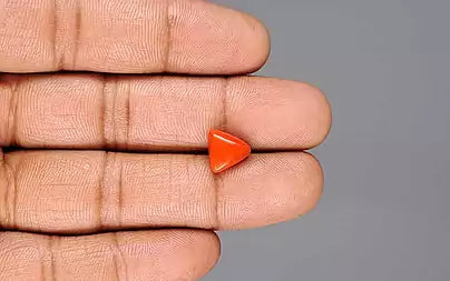 Red Coral (Moonga) - 3.11 Carats