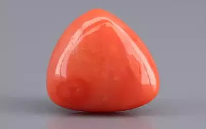 Red Coral (Moonga) - 7.99 Carats