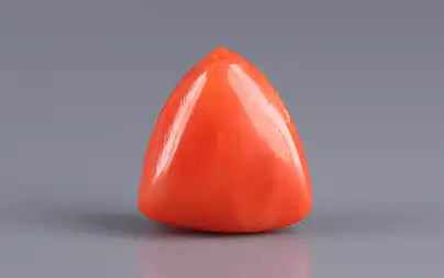 Red Coral (Moonga) - 5.80 Carats