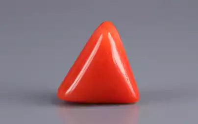 Red Coral (Moonga) - 8.06 Carats