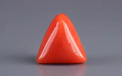 Red Coral (Moonga) - 7.48 Carats