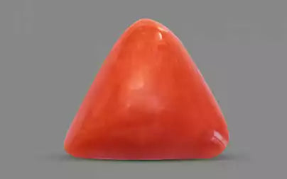 Red Coral (Moonga) - 3.58 Carats
