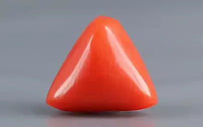 Red Coral (Moonga) - 3.25 Carats