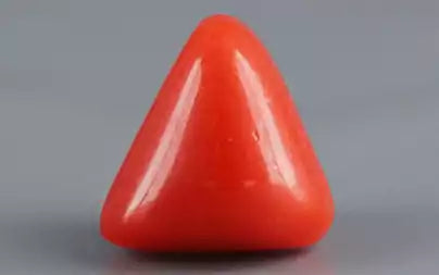 Red Coral (Moonga) - 3.41 Carats