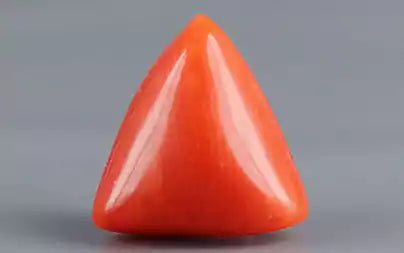 Red Coral (Moonga) - 3.36 Carats