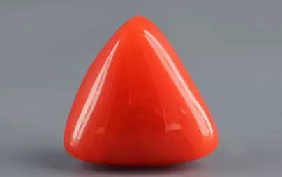 Red Coral (Moonga) - 4.07 Carats