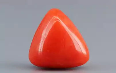 Red Coral (Moonga) - 3.10 Carats