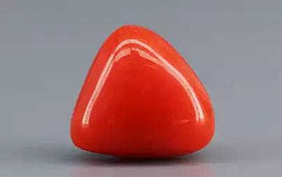 Red Coral (Moonga) - 3.07 Carats