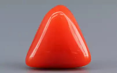 Red Coral (Moonga) - 3.17 Carats