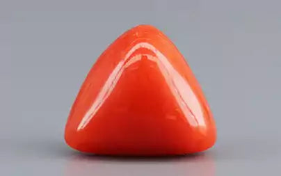 Red Coral (Moonga) - 3.31 Carats