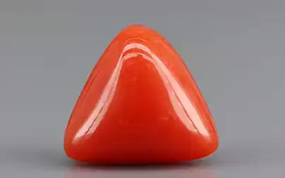 Red Coral (Moonga) - 3.66 Carats