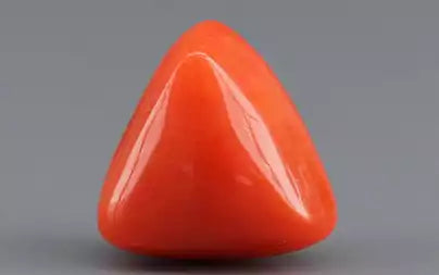 Red Coral (Moonga) - 3.59 Carats