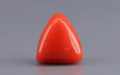 Red Coral (Moonga) - 3.85 Carats