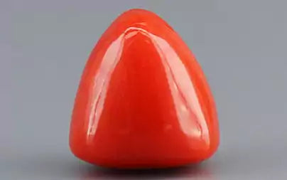 Red Coral (Moonga) - 3.38 Carats