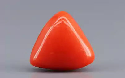 Red Coral (Moonga) - 3.54 Carats