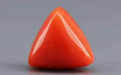 Red Coral (Moonga) - 3.39 Carats