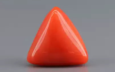 Red Coral (Moonga) - 3.92 Carats
