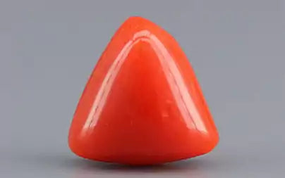 Red Coral (Moonga) - 3.37 Carats