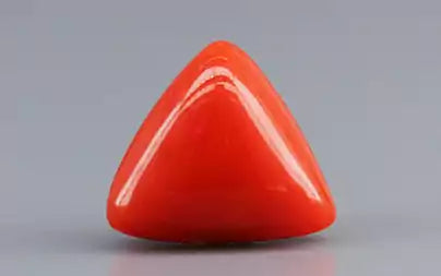 Red Coral (Moonga) - 3.48 Carats
