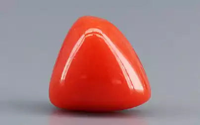 Red Coral (Moonga) - 3.19 Carats
