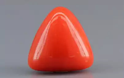 Red Coral (Moonga) - 3.86 Carats