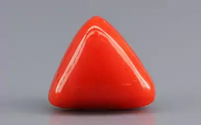 Red Coral (Moonga) - 3.62 Carats